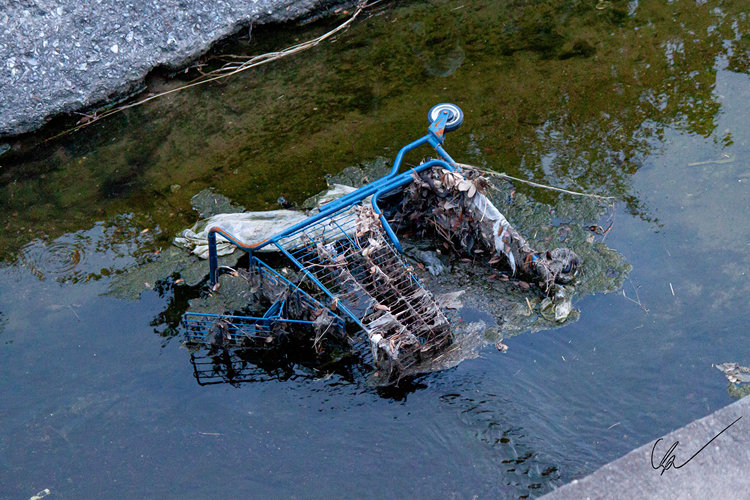A shopping cart gathering trash and algae in a drain canal. A true example of American Urbanization