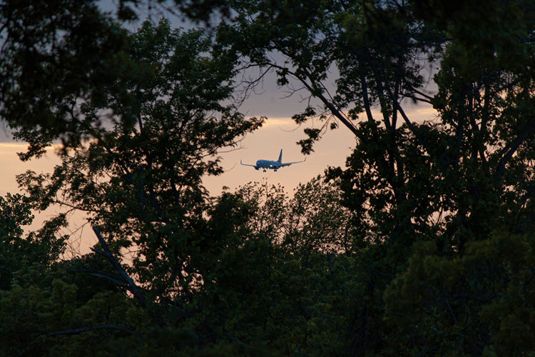 American 737 in between trees